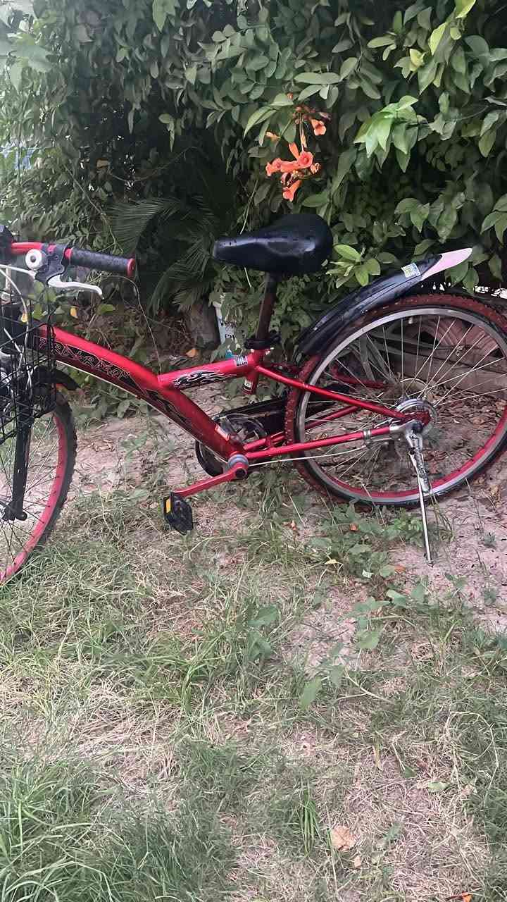 بايسكل مستعمل جدا قليل السعر 115و بي مجال الرقم +964 770 884 7978


**إذا كنت صاحب هذا الإعلان وتريد حذفه لأي سبب، رجاءا أرسل رسالة إلى الدعم الفني**