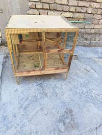 قفص • مدينة الصدر