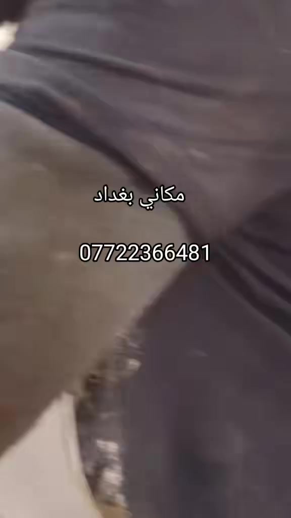 لدينا جهاز كتر لكص سقوف وحياطين ودكتاك 

 وتفليش  وتنقير حياطين وقلع صب 

رقم الهاتف ***********
*********** مكاني بغداد وسعر مناسب خابرني 10 دقي يمك رابي يحفظكم جميعا وجميع المحافظات اطلع
