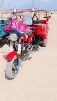 ستوته • دايوان • 2013