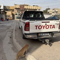 هايلوكس • ٢٠٢١ • بغداد المدينة