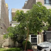 قطعه ارض للبيع 🧿  موقع///  شارع فلسطين محله 504 حي المستنصريه  المساحه...