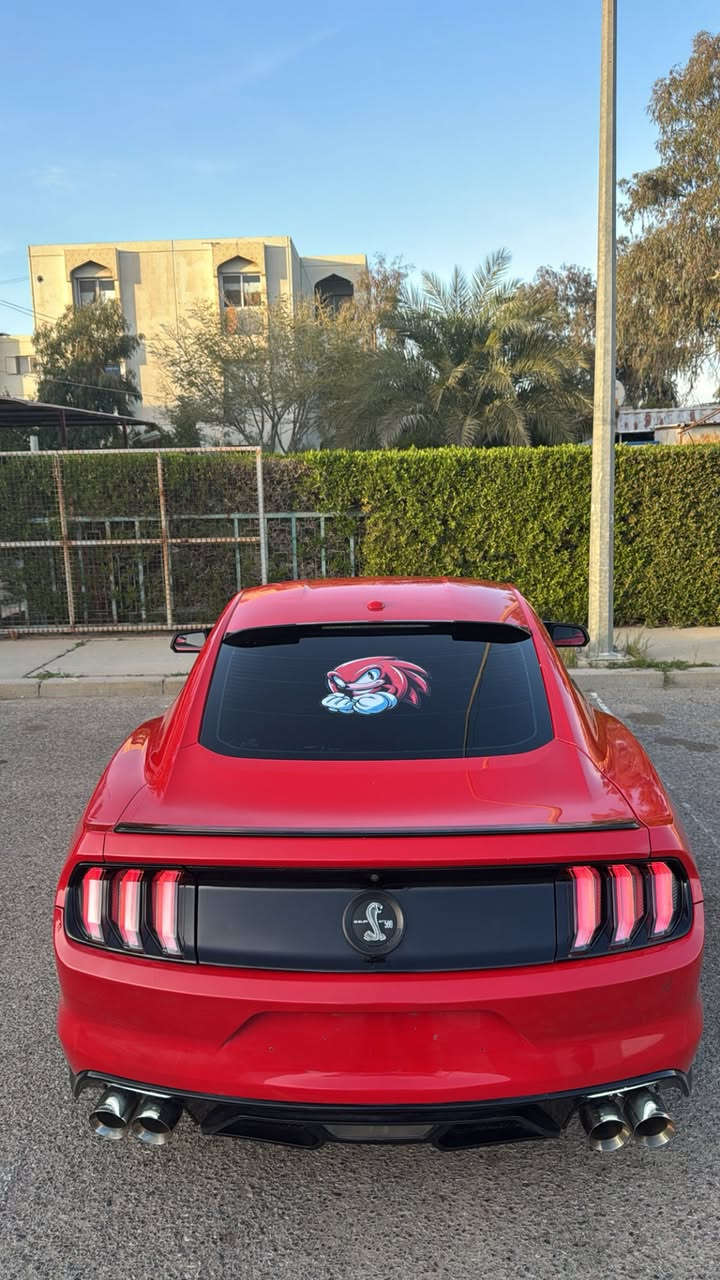 السلام عليكم من رخصة الادمن سونك الاحمر للبيع😂❤️
فورد موستنك GT 2016 
الموديل: [ 2016 ]
المحرك: [ V8 / 5.0 ] 🔥
الگير: [ أوتوماتيك ]
الون : [ أحمر - مميز ] ❤️
الرقم:[بغداد الدولي الجديد]
الحالة: [ السيـارة حـادثهـا من امريكا جاملـغ وبنيد فقط ومرشوش وياه كلير باب والجاملغ الاخ الخلفي يعني ٤ قطع أبيع حزام، ]

[ السعر للتواصل خاص او واتساب ] 

- السيـارة فووووول مواصفات بريميوم
- ⁠عليهـا هواية أضافـات 
-شوتة KN
-هدرز لونك تيوب
-دبات بورلا ريمونت
-اكس بايب
-حلوك دبل كورسا
-مازدات هينسي
-بك لايت كلير تكساس
-لدات تكساس
-جنح GT اصلي
-ويل فويسن اصلي
-دفيوزر 10نمر اصلي
-كت شيلبي دعاميه وبنيد

مكينه كير اكسل صدر كلة كفالة
بدون فتح بدون تبخير السيارة كلش جديدة وهواي مصروف عليهة
السيارة هواي مصروف عليهة 
الموقع: [ صلاح الدين / الدور ] 📍

للتواصل واتس اب او اتصال : [ *********** ]
