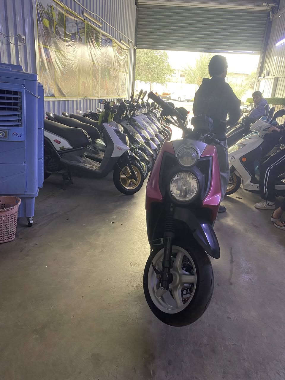 سلام عليكم: جبليه للبيع صارلها اقل الشهر نازله من الضلال  بانزين كله محسن دراجه مرتبه حيل كفاله عامه اذا بيها برغي مفتوح تاخذها بلاش  مكاني بغداد مدينه الصدر (***********) موجود واتساب وهاتف باي وقت (الي ميعرف اسعارهن لايدخل فدوه رحتلك) محتاج وريد ابيع
