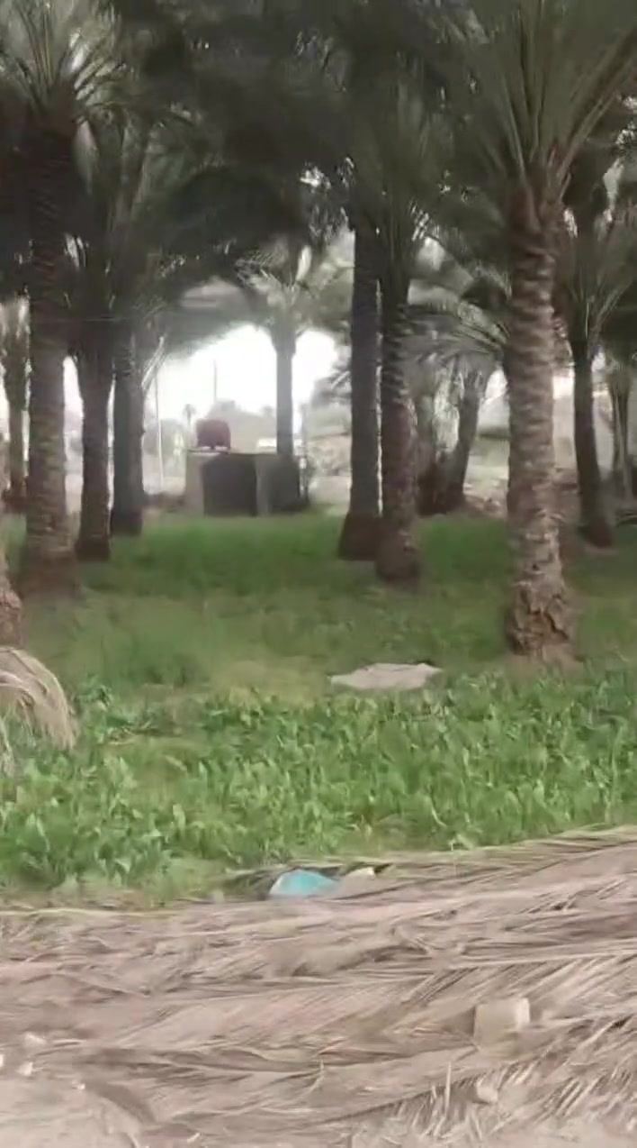 يالله قطعه البيع مساح مختلفه طريق كربلاء  طوريج  ٨٠٠ متر كلي ***********
