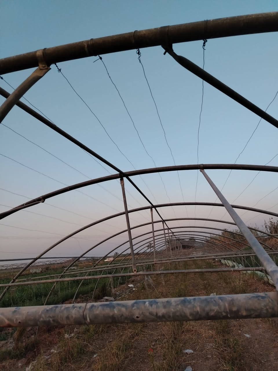 للبيع: هيكل بيت بلاستيكي زراعي
📍 المكان: المدائن - سلمان باك - منطقة الخناسه
🔧 الحالة: هيكل حديد جاهز للزراعة
الهيكل مع نايلون. /صوندات / وسيام
طول 50 والعرظ 9
📞 للاستفسار والشراء: ***********
