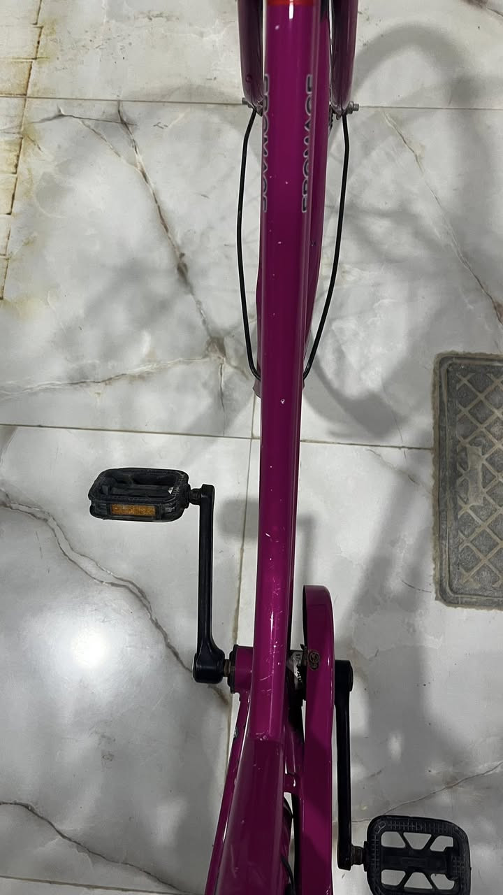 السلام عليكم
للبيع حجم 26 🍃

تايرات جديده 🍃

كلشي موضح بالصور 🍃

الموديل 2016 🍃

سرج قلاب 🍃

الجك يحتاجله سبرنكه 🍃

البايسكل نظيف ومرتب السعر 120 🤍🍃

دسك صفاره 90

مكاني قرية الغدير


**إذا كنت صاحب هذا الإعلان وتريد حذفه لأي سبب، رجاءا أرسل رسالة إلى الدعم الفني**