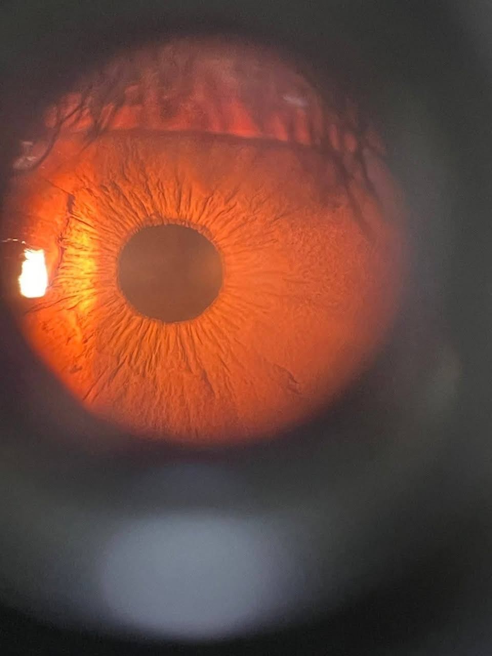 يُعلن الدكتور قاسم
اختصاصي طب وجراحة العيون
عن تواجده في عيادته
🗓 يوم الجمعه صباحا
📍 العنوان:
الحصوة – قرب مرطبات التفاحة الحمراء
مجمع عالم الطب التخصصي
📞 للحجز والاستفسار:
***********
