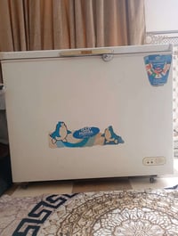 مجمدة للبيع • بابل الشاوي • تشتغل