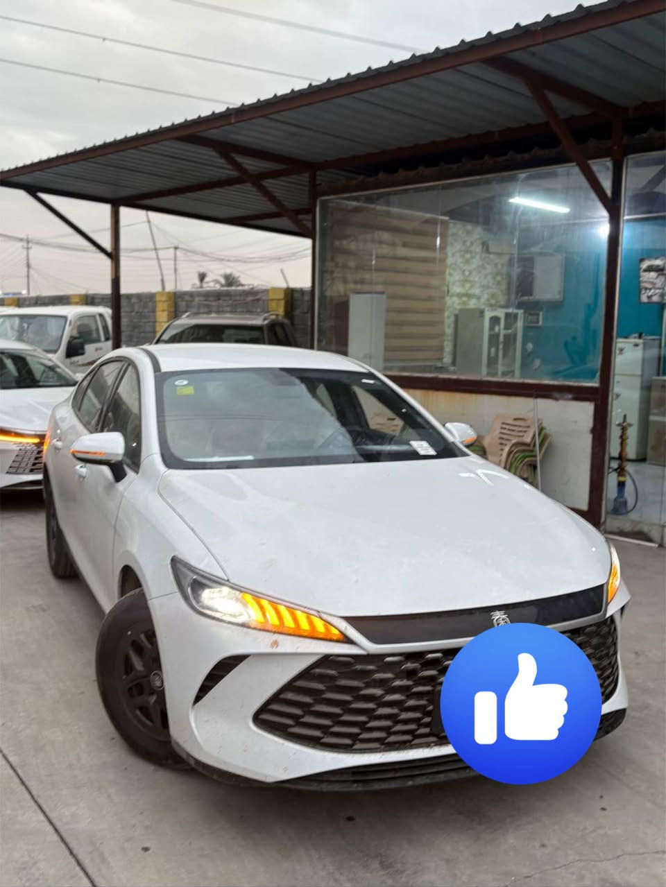 سلام عليكم كل عام وانتم بخير
Byd مكاني نجف الاشرف

2025 

رقمها بغداد وجاهز مداورها على حسابي بسم شركه تتحول باسمك مباشرتاً 

ماشيه اقل 6 

كل غراضها موجوده

بيها شخطه بلطرف القماره اقل شبرين وكلش زغيره مبينه بلصوره شكد تسوه اريد ابيع 

تحياتي الكم

( من تنطي سعر خلي الله بين عيونك لا تكسر بيها كلش)
***********
