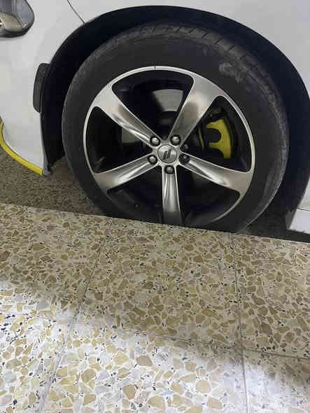 تخم ويل جارجر مئوية للبيع ويا تخم حساسات 
350 وبي مجال 
مكاني كوت 
***********
