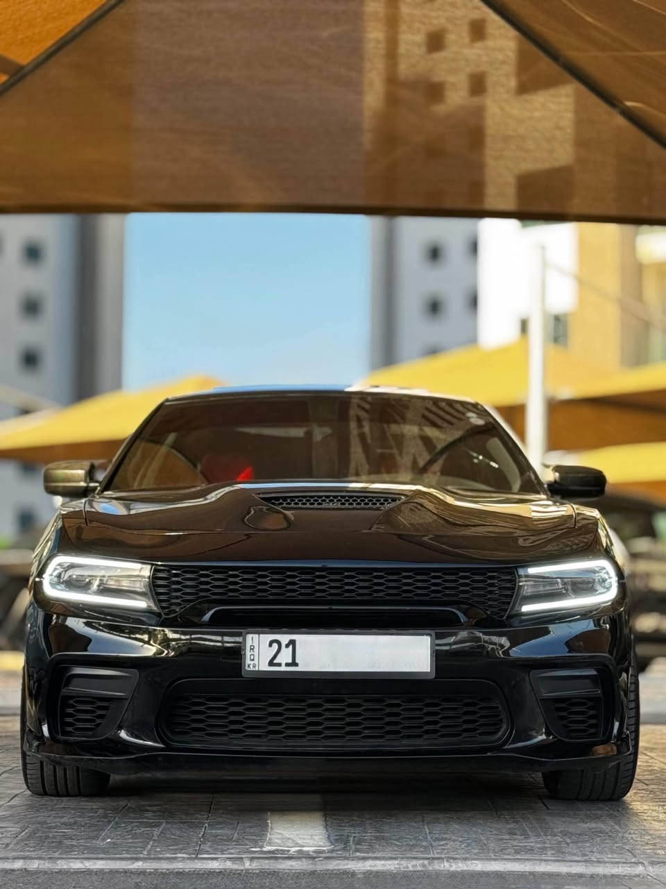 السلام عليكم ورحمه اللة وبركاته

دودج جارجرSXT SUPER PLUS 
لون اسود 
فتحة سقف
رادارات
حساسات
كشنات جلد 
كشنات تخزين
مري قلاب
تشغيل عن بعد 
سماعات boss
وباقي المواصفات هواي متخلص
حادثه كلين امريكا فقط رش قطعتين كلير بدون بارد بدون صبغ فقط رش 
وبلعراق صار بيها صبغ بدون بارد بين الابواب جنب لسائق
كفاله لغد وشاصي 
حداديه صدر جديده تبريد ثلج السياره اي نقوصات مابيها 

السيارة مصروف عليها كلش هوواي لسوق موجود بي كلشي لتكسر بحلال العالم

سعر 204ورقه 

للتواصل على رقم الهاتف والواتساب 
*********** بغداد, العراق
