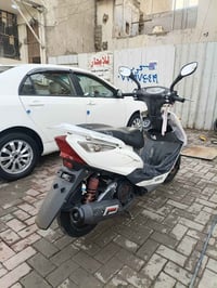 ثعلب • كفالة عامه • كفر امامي