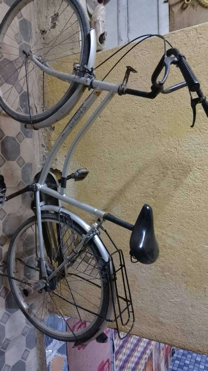 باسكل للبيع حجم 26 سعر خاص


**إذا كنت صاحب هذا الإعلان وتريد حذفه لأي سبب، رجاءا أرسل رسالة إلى الدعم الفني**