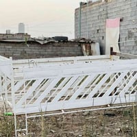 محجر • أصلي • الغراف