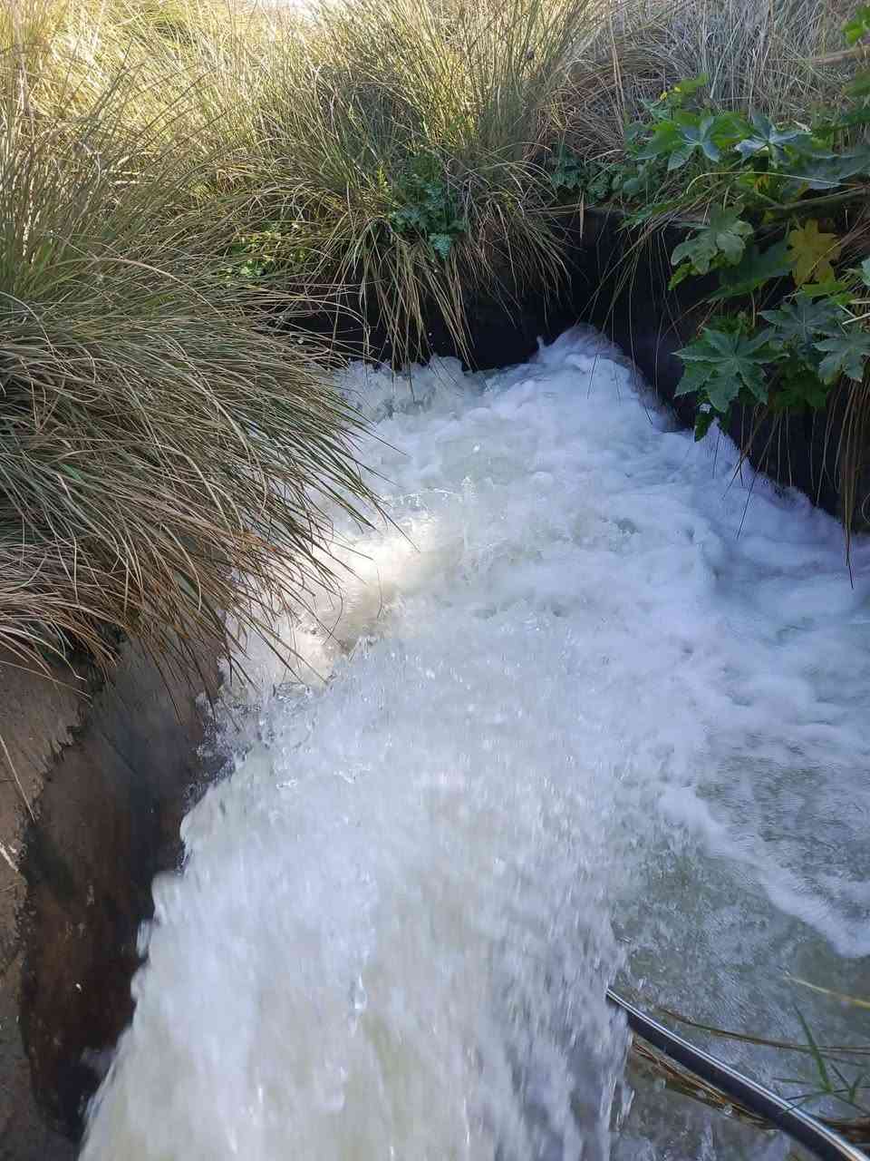 بحيرات 100دونم مجازه للايجار***********
