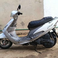 ماكس منغولي • طالعة من وكيل • مكفولة