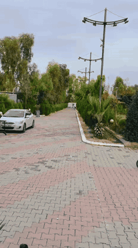 تريد تطلع سفرة بعطلة نصف السنة وما لاقي مكان؟
مزرعة السعادة خيارك الأفضل 🌿
⚠️ فترة عطلة نصف السنة قصيره وتحتاج سفره
نستقبلكم قبل وبعد العطلة بأجواء عائلية هادئة.
للاستفسار الاتصال ***********
العنوان كركوك طريق شوان قرية حه سار خلف مطعم ميديا السياحي
