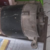 راس توليد • مولده • للبيع