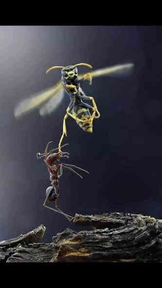 (عرض خاص )   سعر   ١١٥الف فقط.     قياس استندر👍✈️✈️✈️✈️  سعر (١١٥ )فقط    لكم احدث الموديلات والتصاميم الحديثه التي تتناسق مع الهندسه الحديثه لبيتك
عالم المحجرات معرض المصطفى للالمنيوم  بروعه الوانه وفخامة تصميمه واناقة تفاصيله ••
ابواب مانع ذباب 🧨🧨🧨🧨🏛🏠🏩🏨💒🏰🌉🎢🎡👈👈👈👈👈 ***********
يتوفر لدينا محجرات المنيوم نوعين
 المنيوم تركي والمنيوم ايراني   
واهم خصائصها :
• يتوفر موديل بوري والشخاط 
يمتاز :
•كلما يزداد السمك تزداد الكلفة 
لقوة الجودة
• قدرة عاليه على تحمل الضربات مما يجعل لديها خصائص عملية اكثر 
• الوانه ثابتة 
•تحمل درجات الحرارة العالية والرطوبة 
•كريستا وعمل
• ضمان حقيقي 5 سنوات 

العنوان : بابل قضاء المسيب  حي المعلمين قرب مصرف الزراعي 
الهـاتـف :  ***********
