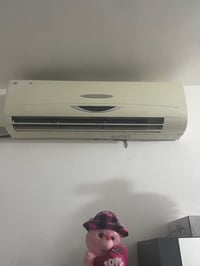 سبلت • مستعمل • للنقل