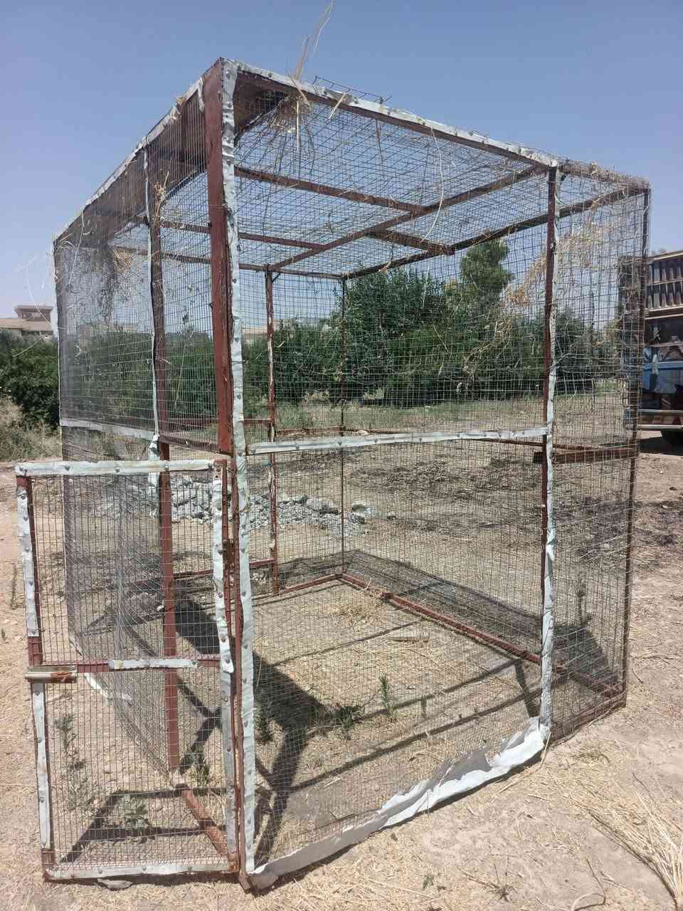 متاح
قفص للبيع.. قفص مرتب ونظيف مستعمل قليل.
سعر قفص (١١٠ )الف وبي مجال للطبيبن
. اليريد راسلني💬📲 او اتصل عل رق#***********
ارتفاع.. عرض.. 2*2
