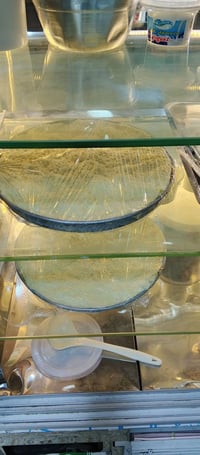 قشوار • قيمر أصلي • مزارع زيونه