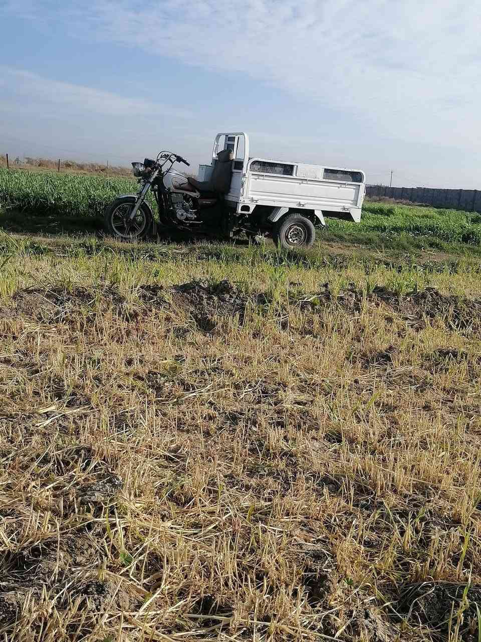 سلام عليكم ستوته جمره للبيع موديل2017 وراق كامله مكان ابو غريب شيح هذرقم بي واتساب ***********
