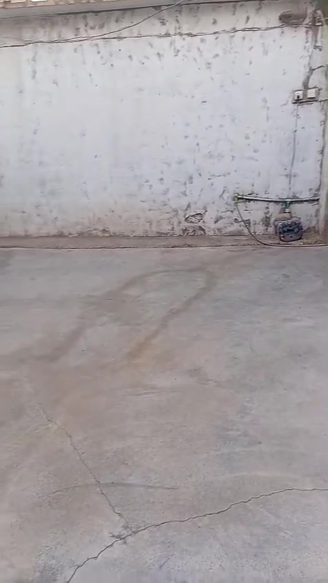 بيت للبيع تفاصيل بالفيديو المنشور + بيت خلفي ثاني العنوان شعب حي جزائر شارع ٤٠ رقم الهاتف ***********
***********
