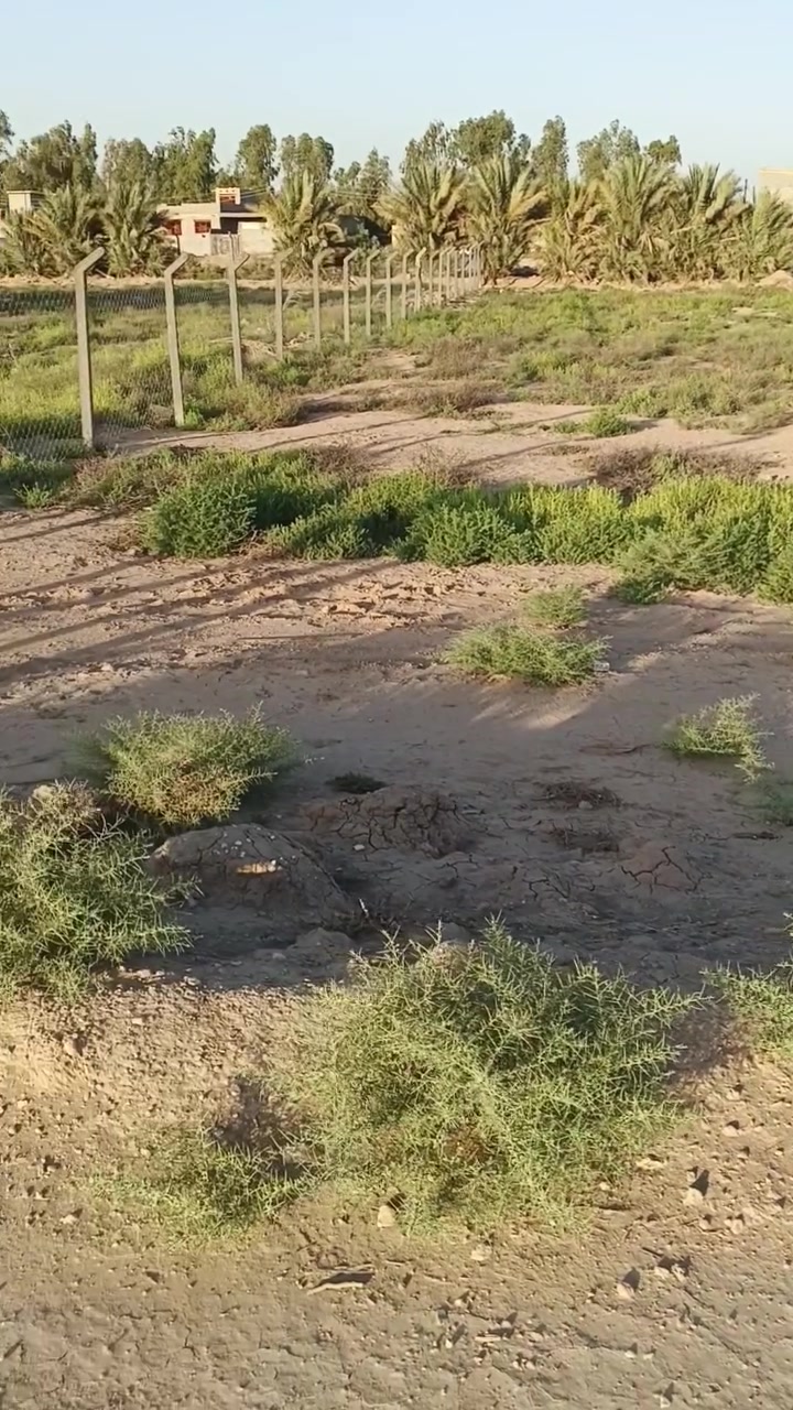 كربلاء طويريج ناحية الرجيبة 
***********
