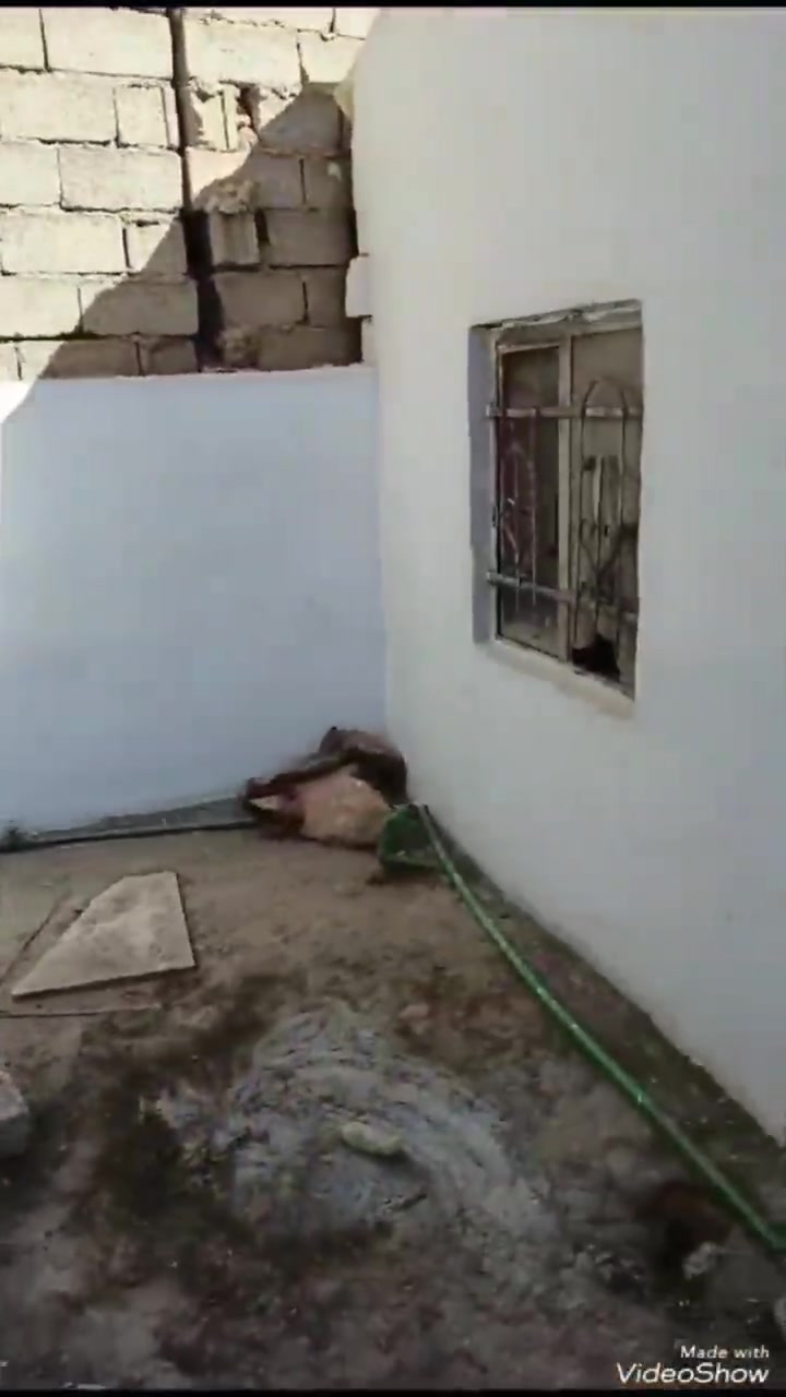 بيت للبيع 60 متر سند 25  قرار محكمه بناء اعكاده طابق واحد  المكان الجاير مقابل  منتجات الكفيل بداخل الفرع  سعره جدآ جدآ مناسب  سعره 35
للتواصل 
***********
