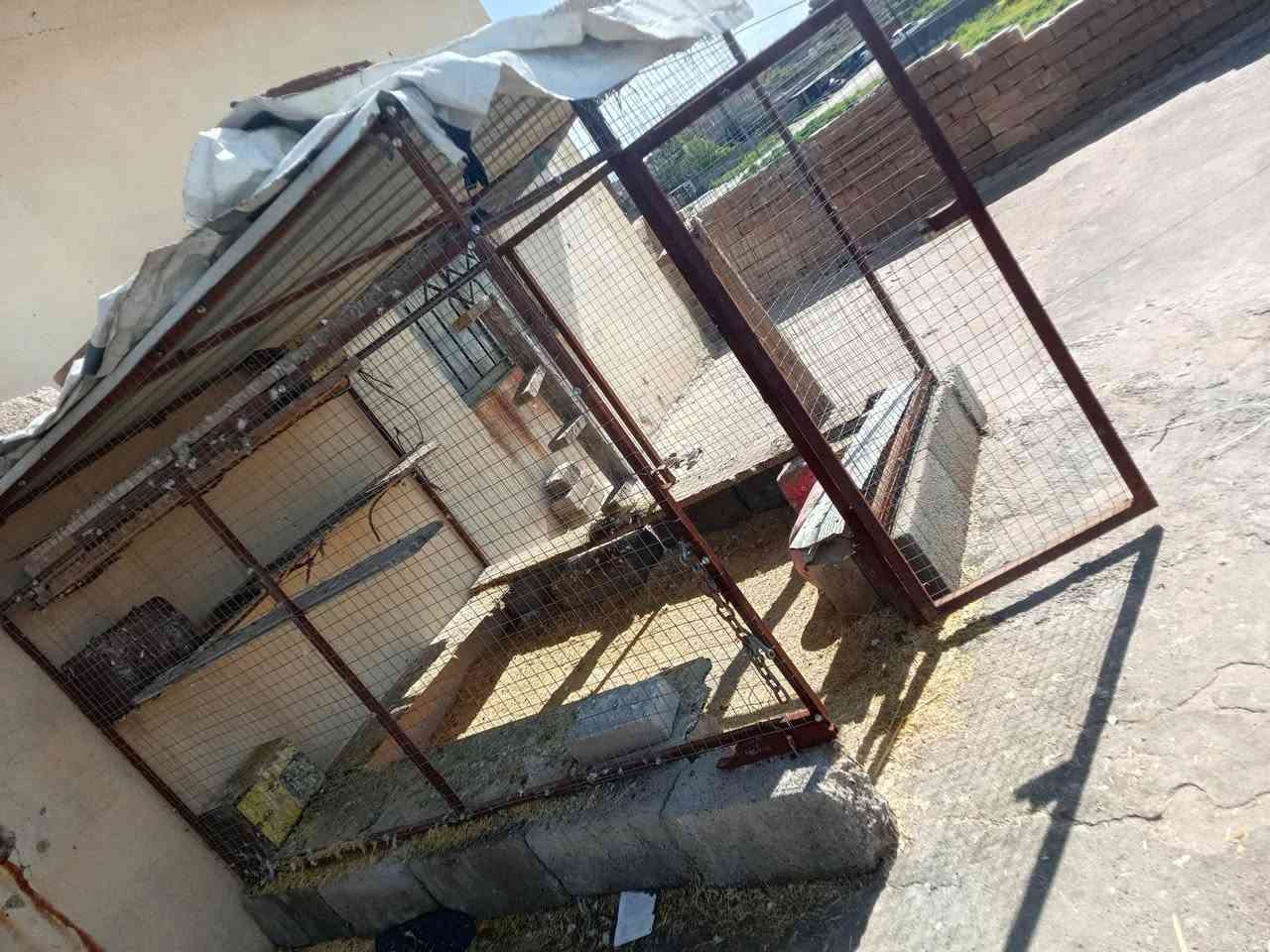 قفص للبيع السعر 120 وبي مجال


**إذا كنت صاحب هذا الإعلان وتريد حذفه لأي سبب، رجاءا أرسل رسالة إلى الدعم الفني**