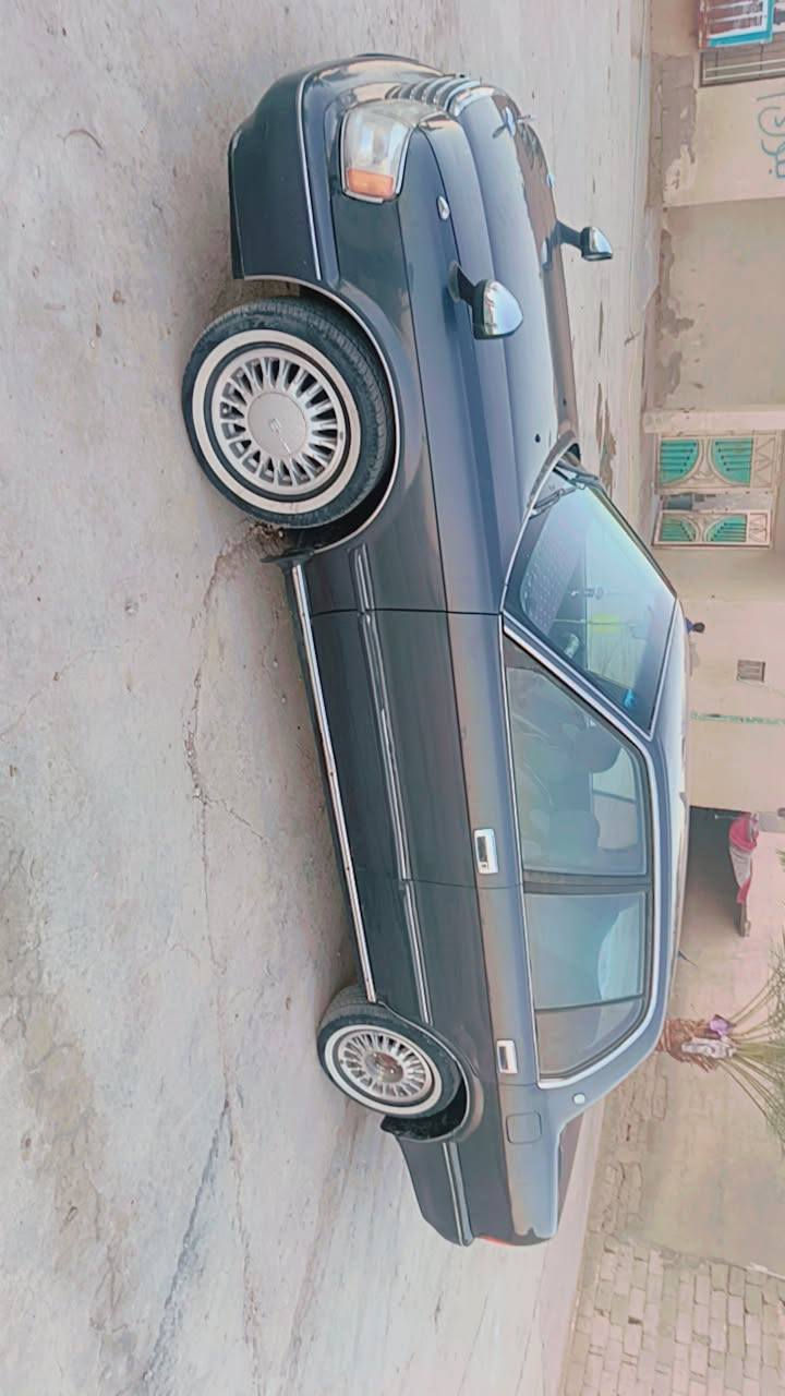 سلام عليكم كرون ارنب 95كفاله ضبره وكص ونقل بقط صبغ نقص مكينه تبخررر سعر 60وذا أكو مروس عادي ناصريه قله سكر ***********
