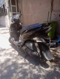 ثعلب للبيع جيتار كفاله عامه تأخذه من باب البيت مابيه اي نقص مكاني بغدا...