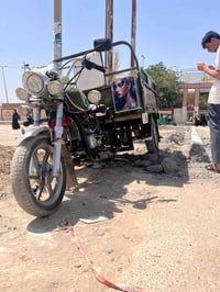كربلائية • رقم أبيض • نقص بسيط