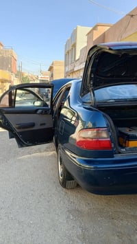فرخ بطه • كربون • بنزين