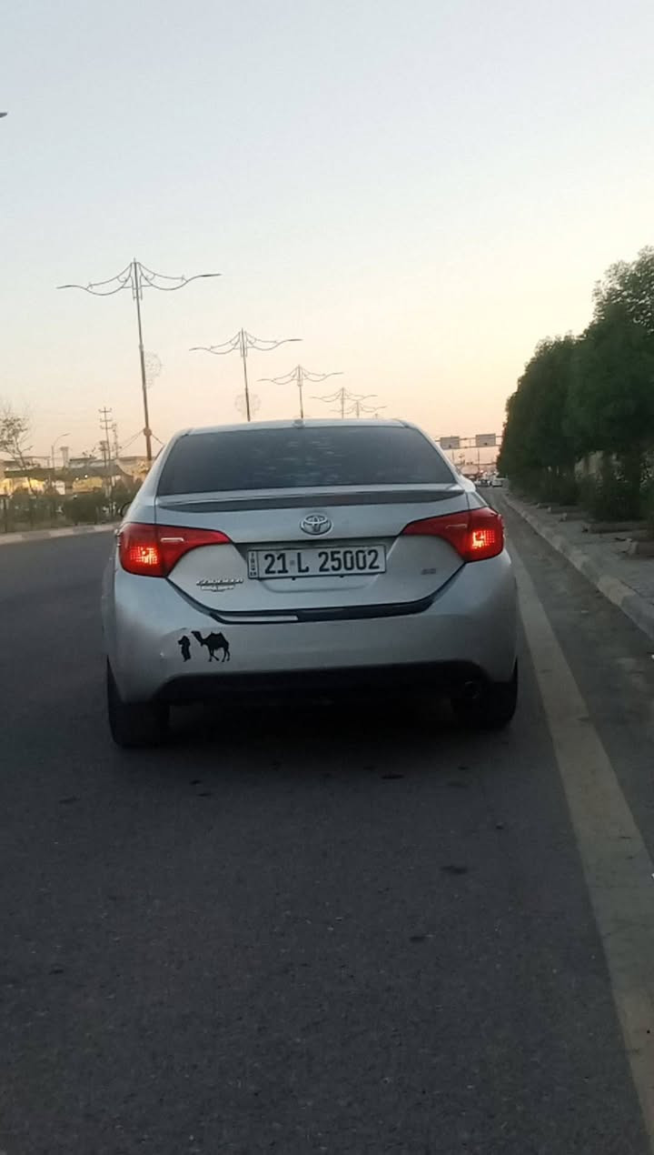 كورلة SE
للبيع موديل 19
رقم شمالي 
السيارة بنيد صبغ وجامرلق امامي فقط 
وبيهة شخوط شي بصيط ومكحلة 
ارباك ما طاك بلاد.. بدون تنتة.. 
تبريد ثلج 🥶 ويا السويج 
داخل صلوات ع محمد جدا نضيف 
سيارة مال بيت. مكاني ديالئ بعقوبة 
باقي تفاصيل بل فيديو 👇
السعر اول تعليق 
***********
