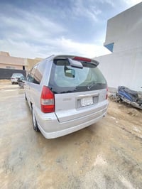 سبع راكب • ٢٠٠٩ • بدون صبغ