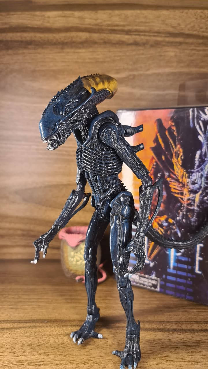متوفر Neca Aliens action figures 🔥🔥🔥🔥
المجموعة الاولى
.
تزامنا مع صدور مسلسل Alien : earth 
نعرض لكم مجموعة مجسمات مفصلية من مختلف اصدارات السلسلة الشهيرة Alien
.
الاسعار للقطعة ٢٠ ألى٣٥ الف حسب القطعة 
للطلب مراسلة الصفحة 
.
توصيل لجميع محافظات العراق 
تابعوا الصفحة للاطلاع على باقي المجسمات التي سيتم نشرها🔥


**إذا كنت صاحب هذا الإعلان وتريد حذفه لأي سبب، رجاءا أرسل رسالة إلى الدعم الفني**