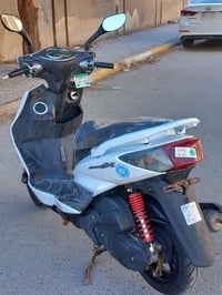 دراجه سكنس فحل  للبيع رمبه صارلها شهرين من نازله من الرمبه  سكليتر خطي...