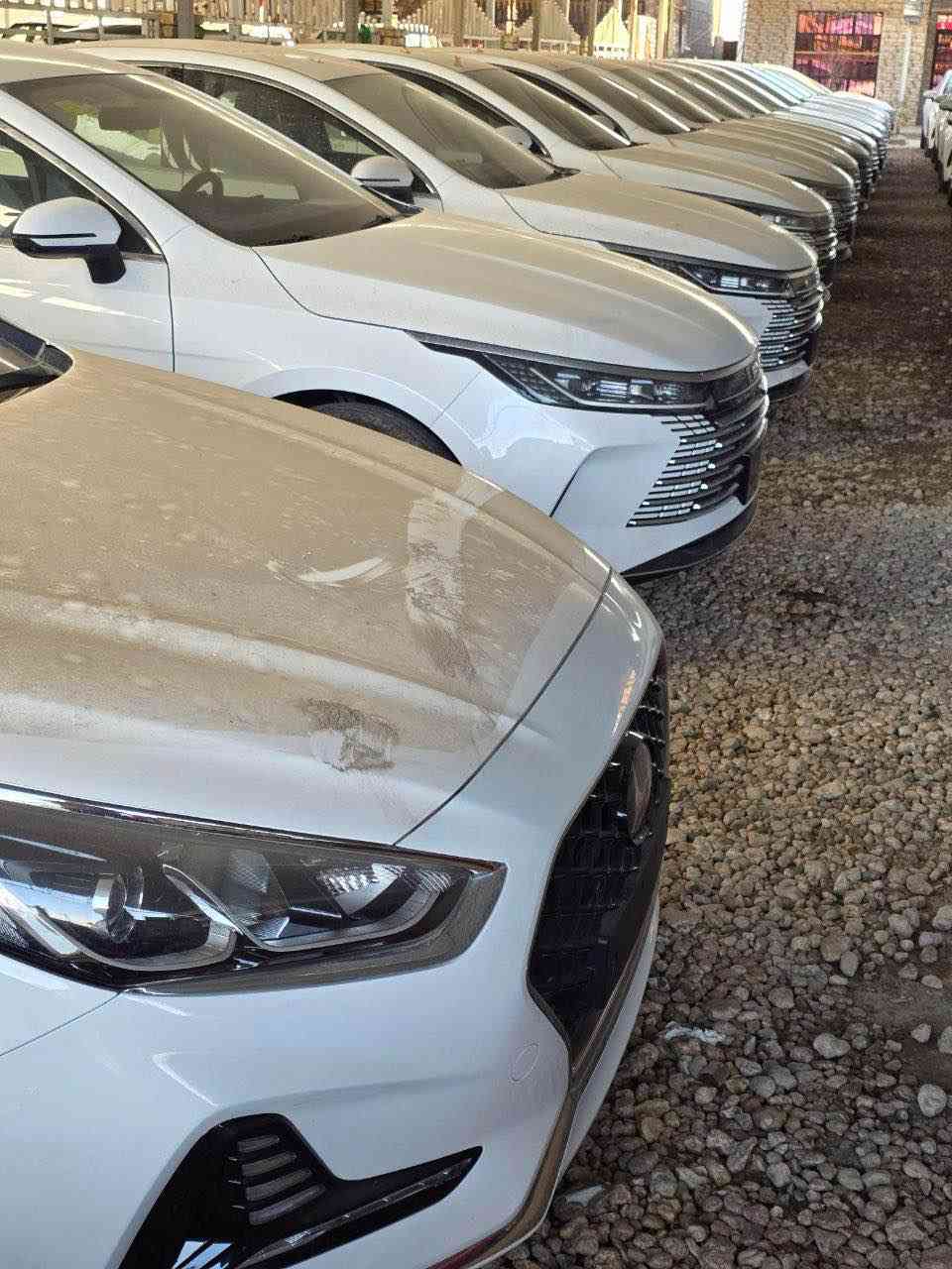 السلام عليكم
تعلن شركة سمير مهدي كاظم لتجارة السيارات 
عن توفر سيارات BYD ديسترويل 2025 لون ابيض زيرو
الموقع بابل الحمزة الغربي 
للاستفسار الاتصال على الرقم
*********** حلة, بابل
