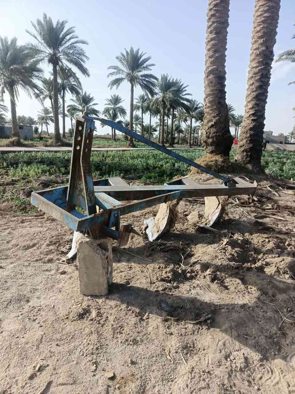 فيدان للبيع حجم 12 مروس ب فيدان 14 مكان بابل ناحيه ابو غرق ‏‪0776 987 0711‬‏
