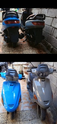 فراشة فحل • دسك • نضاف