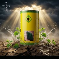 كربلاء • الجدول الغربي • توصيل