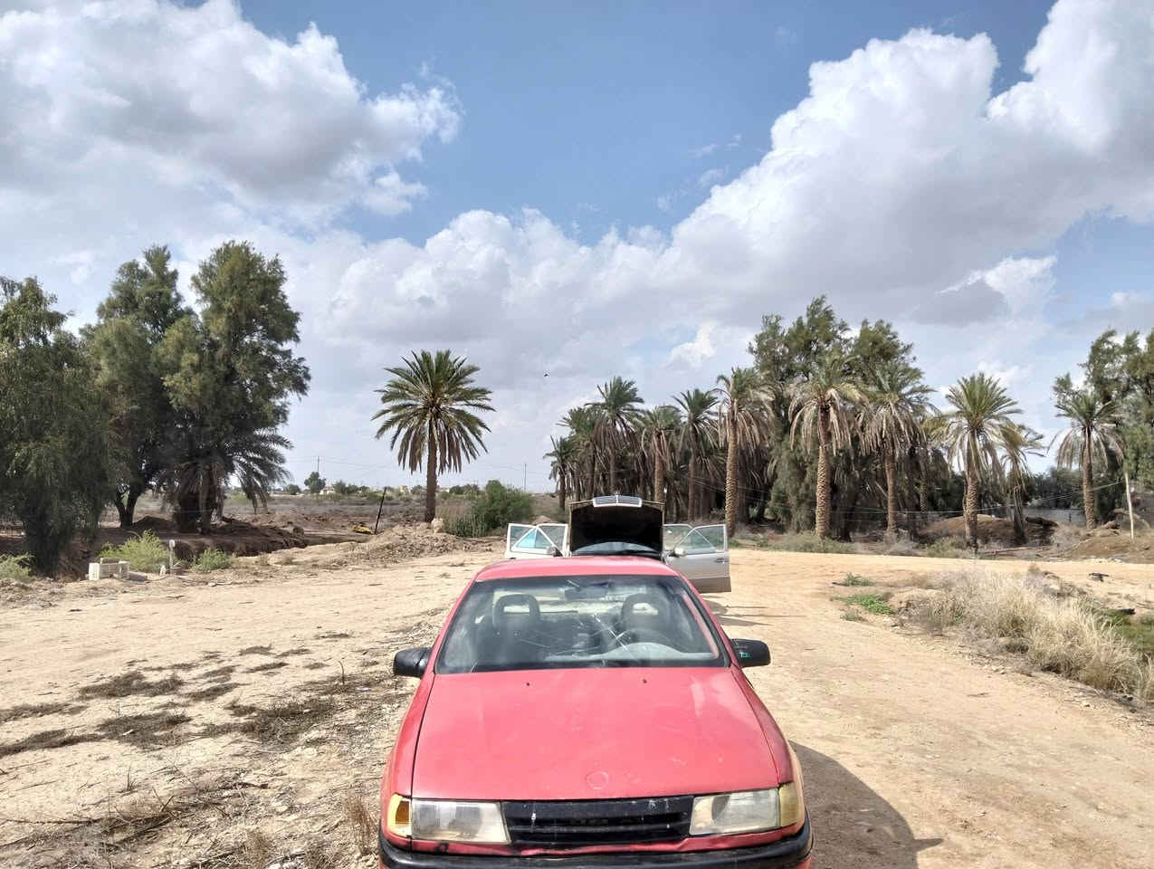 ابوبل فكتره مشروطه اصوليات سياره جاهزه للبيع رقم الهاتف ***********
