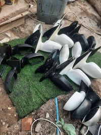 كيا كرنفال • كيا سيدونا • موديل ١٩٩٨-٢٠٠٦