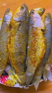 سلام عليكم يوجد سمج زوري حمري شخاط مشكل السعر 4 كميرة الجزيرة السياحية *********** اتصال وبيك خير ودلل
