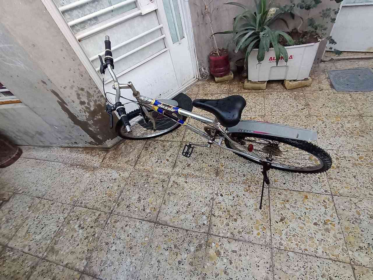 سلام عليكم
بايسكل كنت بي عكرب و البريكات قويه
و عيبه الوحيد بي بنجر بل تاير الخلفي
البايسكل رايده ب 65 و بي مجال.....


**إذا كنت صاحب هذا الإعلان وتريد حذفه لأي سبب، رجاءا أرسل رسالة إلى الدعم الفني**