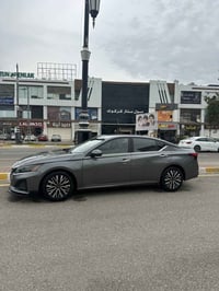 التيما • ٢٠٢٣ • رقم اربيل