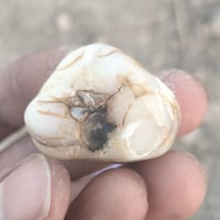 عقيق خام • طير مصور • واضح جداً